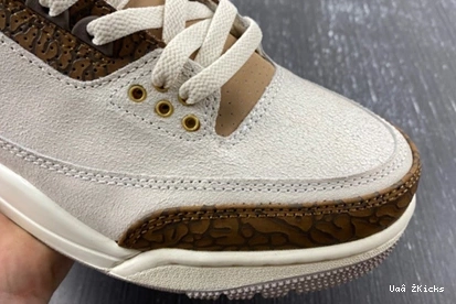 9353 379 StreetReady Jordan 3 CT8532- “Palomino” Air 0902